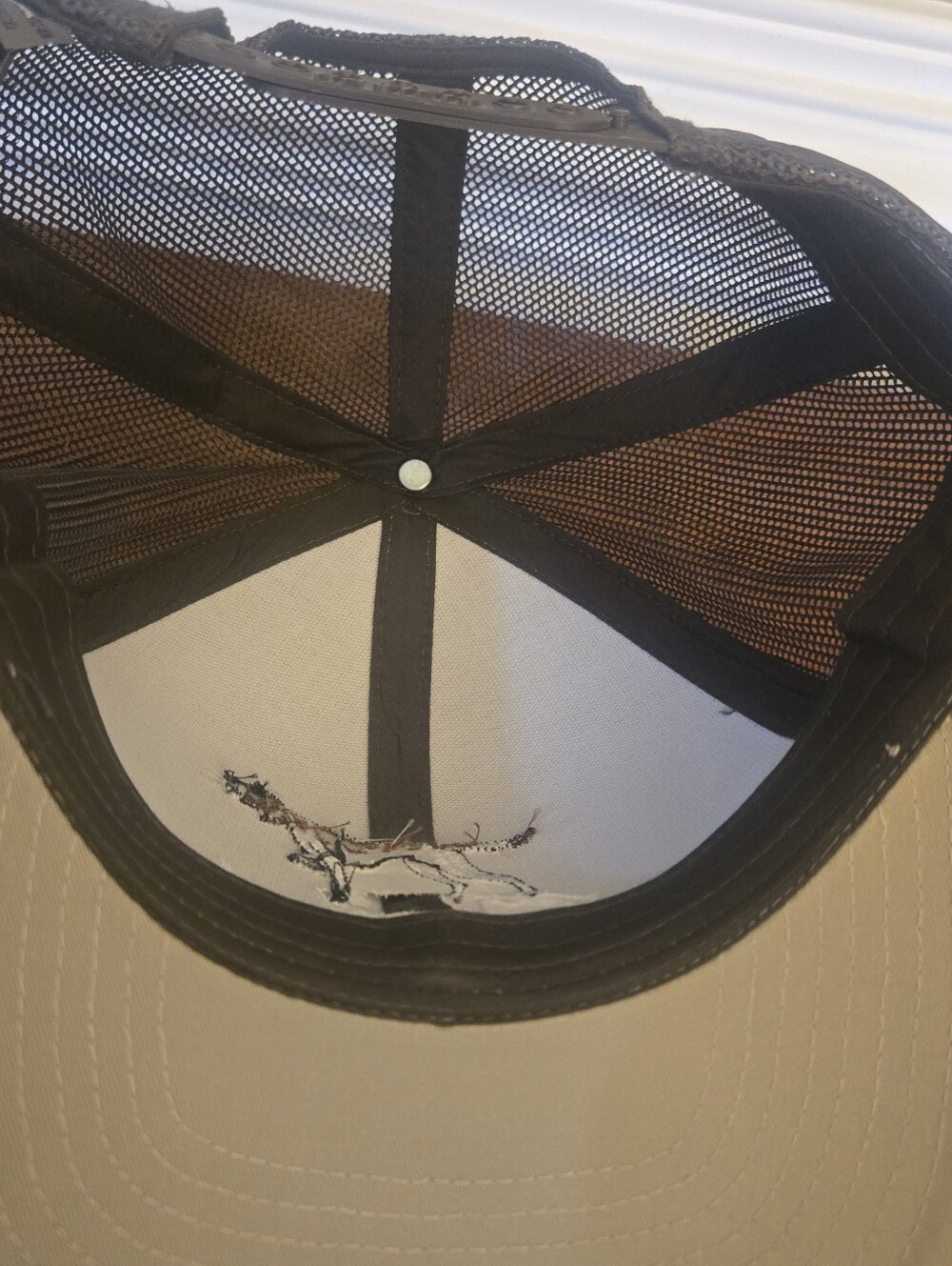 Southern Local Hat - Picture 4 of 4